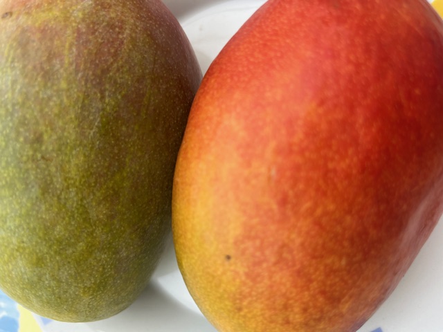 mango